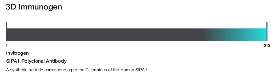 SIPA1 Polyclonal Antibody