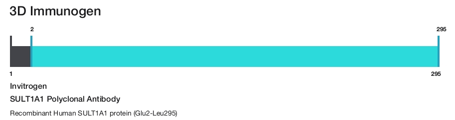 SULT1A1 Polyclonal Antibody