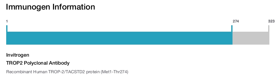 TROP2 Polyclonal Antibody