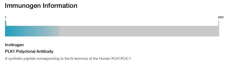PLK1 Polyclonal Antibody