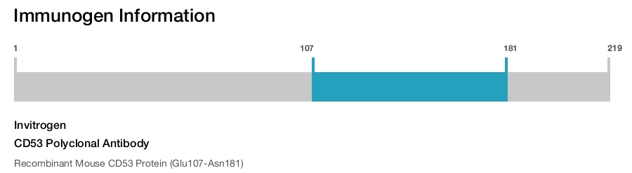 CD53 Polyclonal Antibody