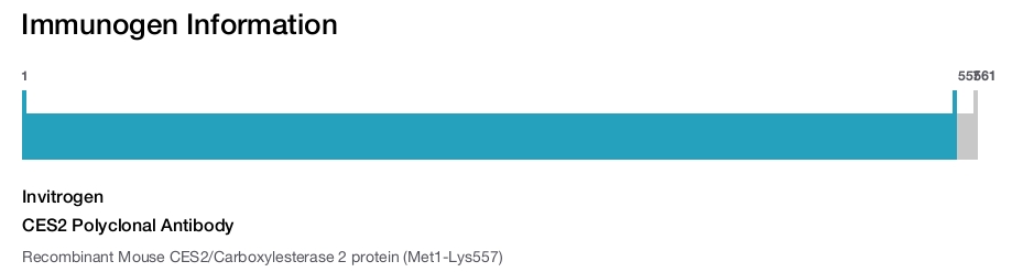CES2 Polyclonal Antibody