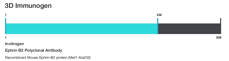 Ephrin B2 Polyclonal Antibody