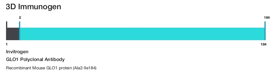 GLO1 Polyclonal Antibody