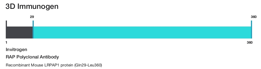 RAP Polyclonal Antibody