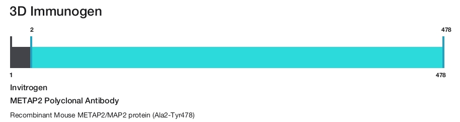 METAP2 Polyclonal Antibody