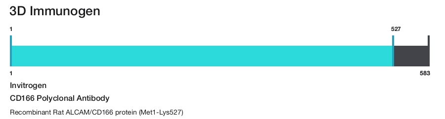 CD166 Polyclonal Antibody