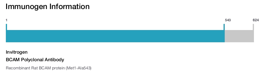 BCAM Polyclonal Antibody