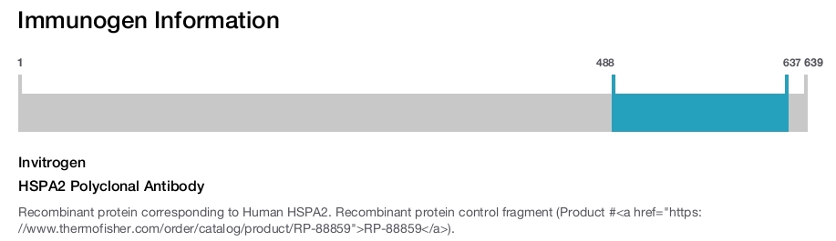 HSPA2 Polyclonal Antibody
