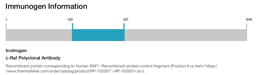 c-Raf Polyclonal Antibody
