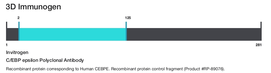 C/EBP epsilon Polyclonal Antibody