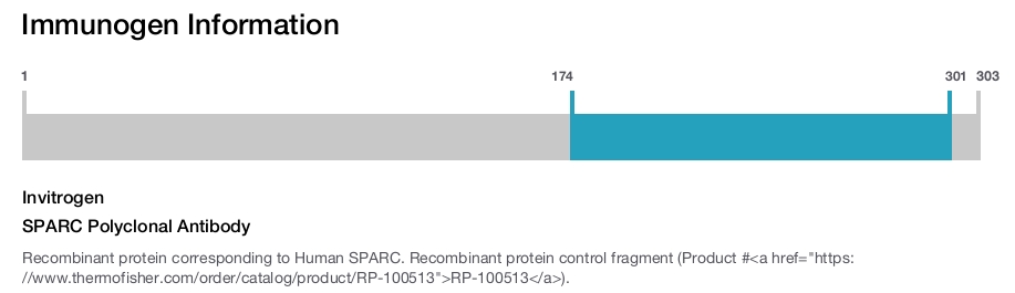 SPARC Polyclonal Antibody