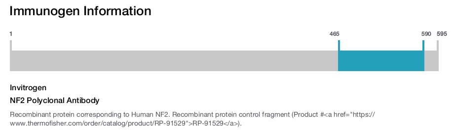 NF2 Polyclonal Antibody