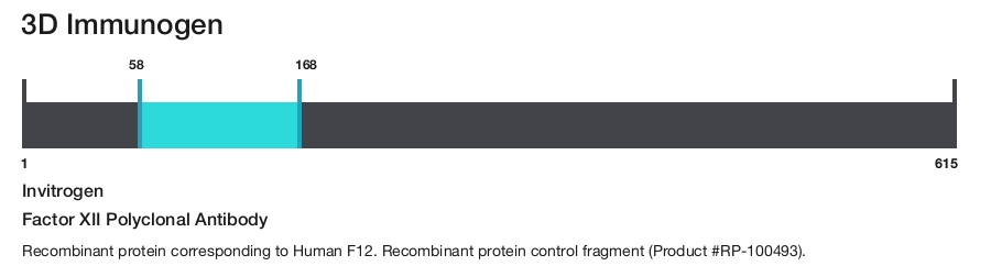 Factor XII Polyclonal Antibody