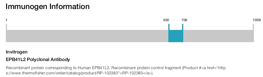 EPB41L2 Polyclonal Antibody