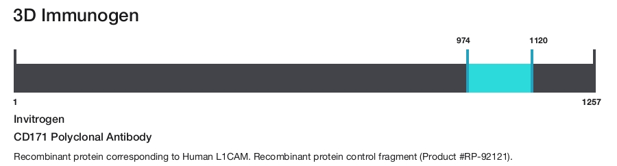 CD171 Polyclonal Antibody