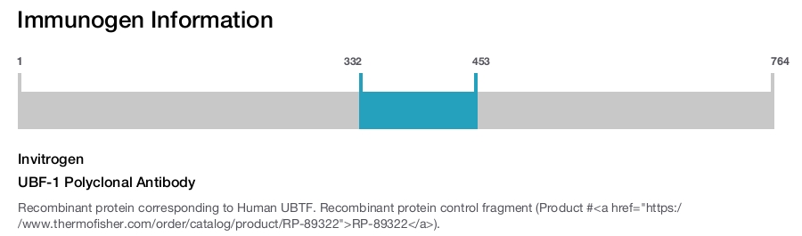 UBF-1 Polyclonal Antibody