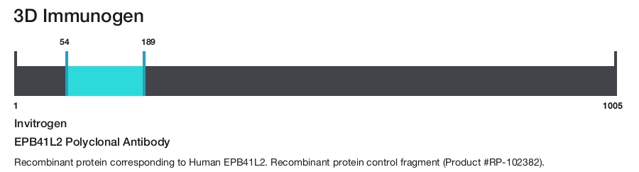 EPB41L2 Polyclonal Antibody