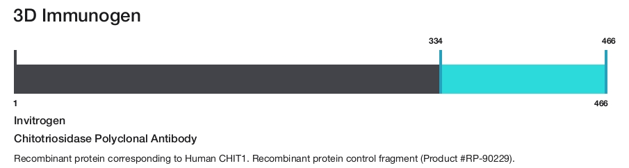 Chitotriosidase Polyclonal Antibody