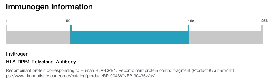 HLA-DPB1 Polyclonal Antibody