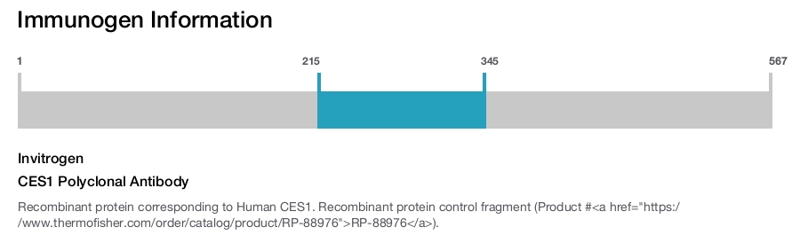 CES1 Polyclonal Antibody