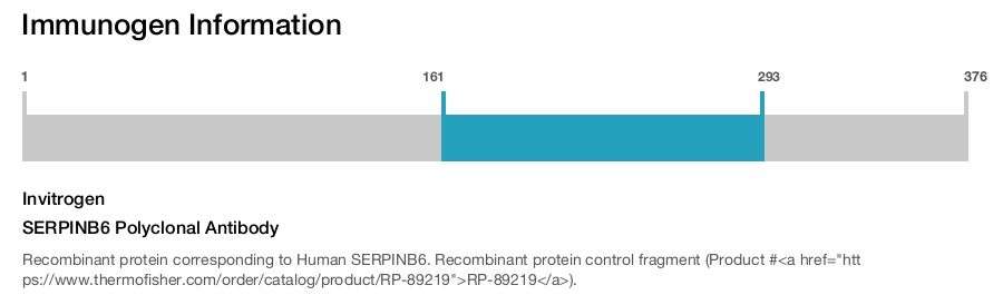 SERPINB6 Polyclonal Antibody