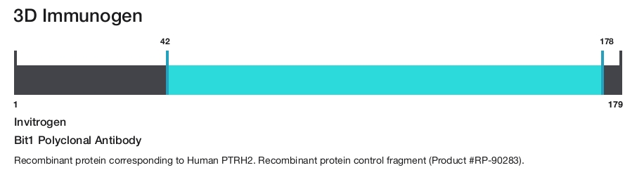 Bit1 Polyclonal Antibody