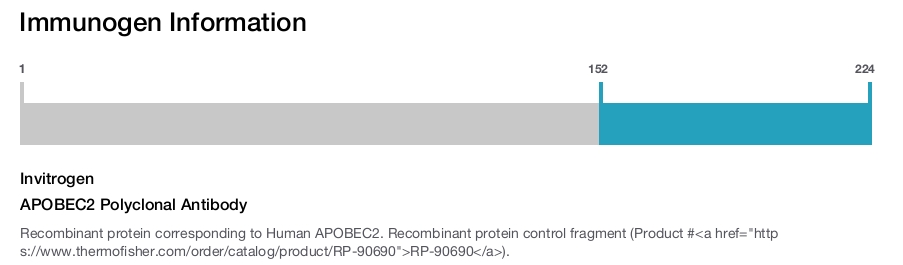APOBEC2 Polyclonal Antibody