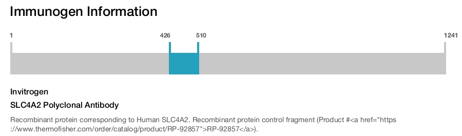 SLC4A2 Polyclonal Antibody