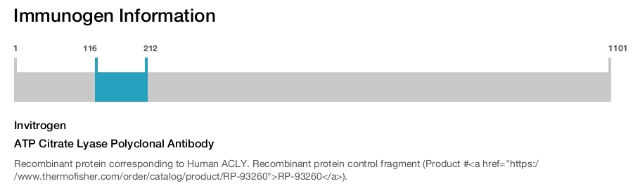 ATP Citrate Lyase Polyclonal Antibody