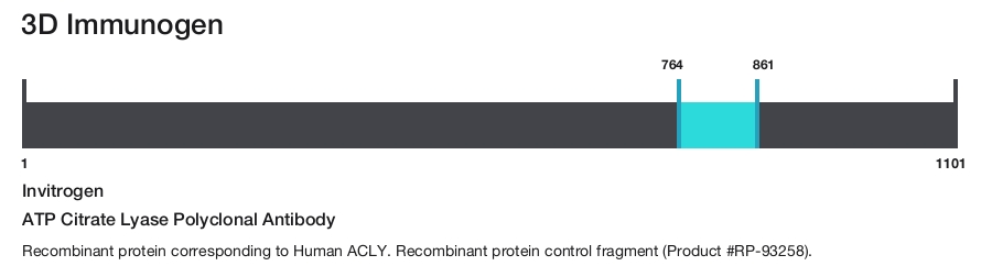 ATP Citrate Lyase Polyclonal Antibody