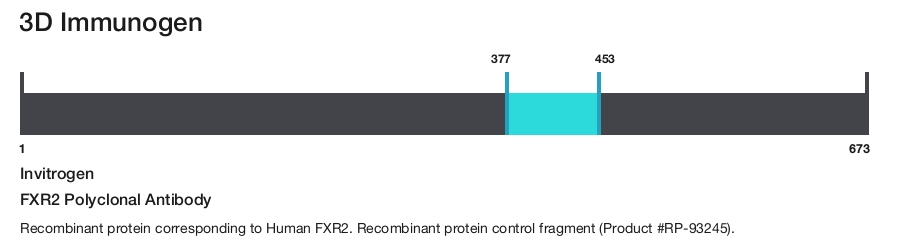 FXR2 Polyclonal Antibody