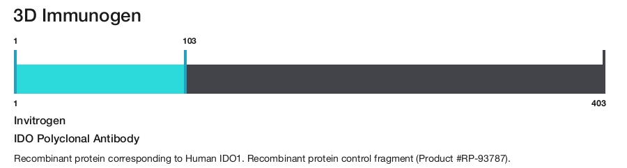 IDO Polyclonal Antibody