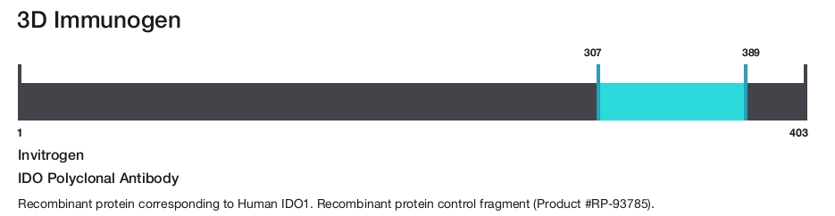 IDO Polyclonal Antibody