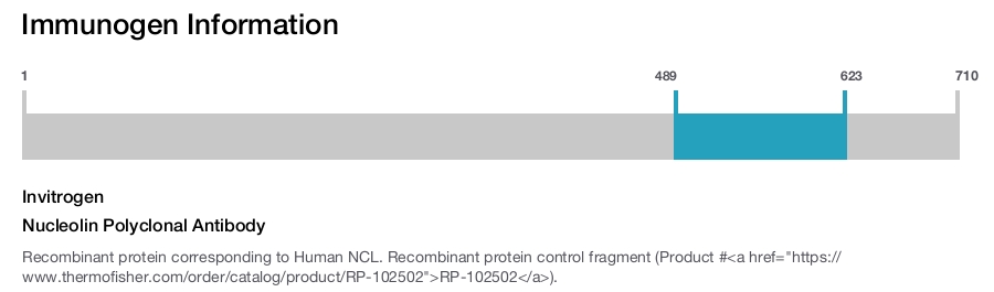 Nucleolin Polyclonal Antibody