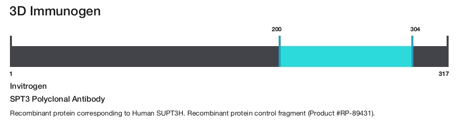 SPT3 Polyclonal Antibody