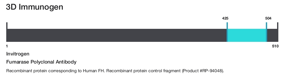Fumarase Polyclonal Antibody