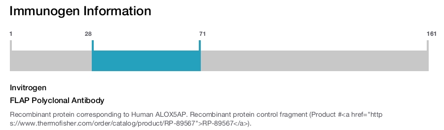 FLAP Polyclonal Antibody