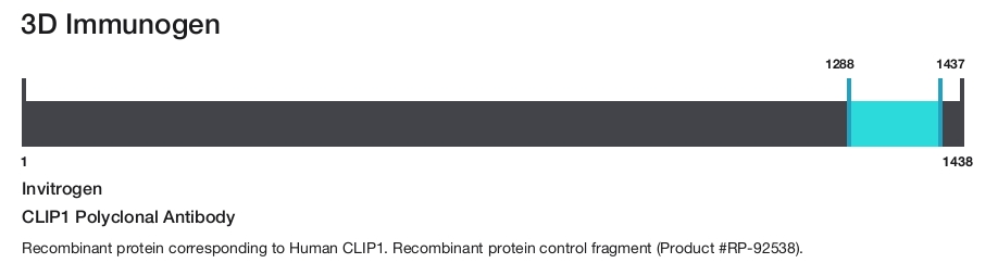 CLIP1 Polyclonal Antibody