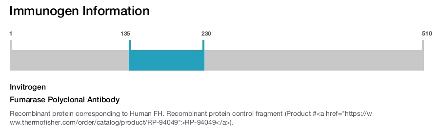 Fumarase Polyclonal Antibody
