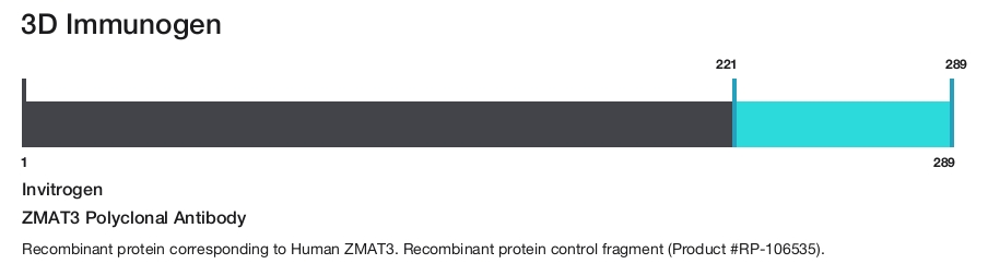 ZMAT3 Polyclonal Antibody