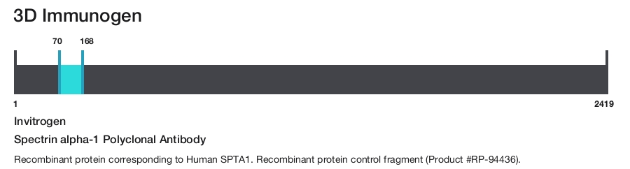 Spectrin alpha-1 Polyclonal Antibody