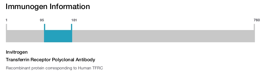 Transferrin Receptor Polyclonal Antibody