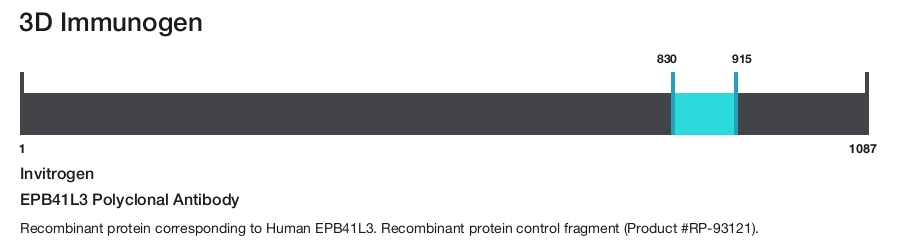 EPB41L3 Polyclonal Antibody