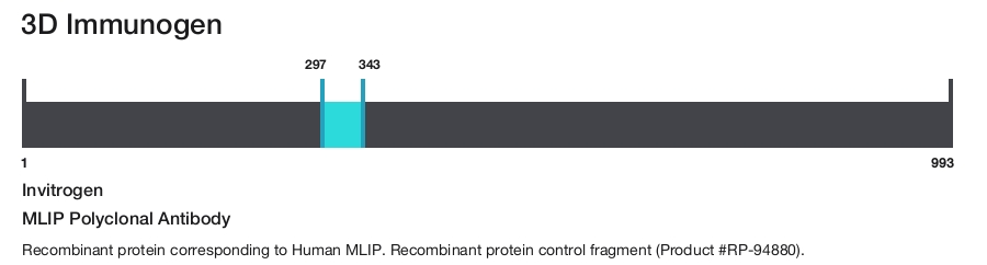 MLIP Polyclonal Antibody