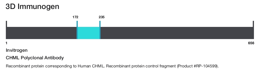 CHML Polyclonal Antibody