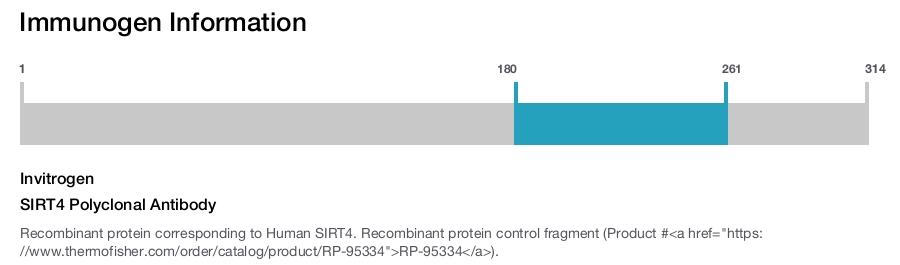 SIRT4 Polyclonal Antibody