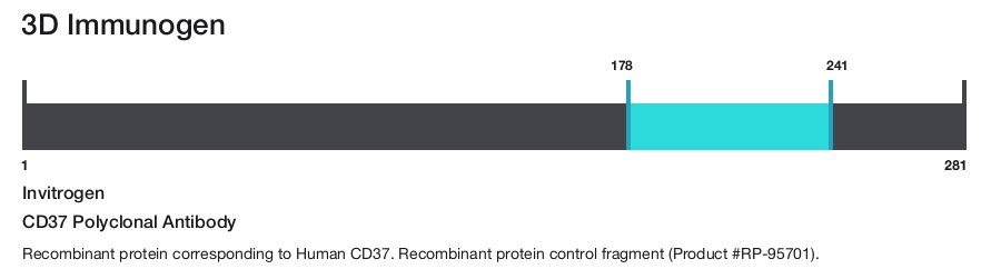 CD37 Polyclonal Antibody