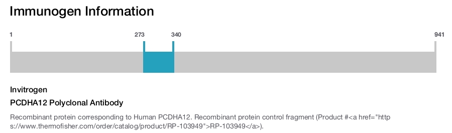 PCDHA12 Polyclonal Antibody
