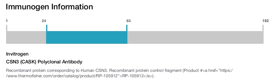 CSN3 (CASK) Polyclonal Antibody